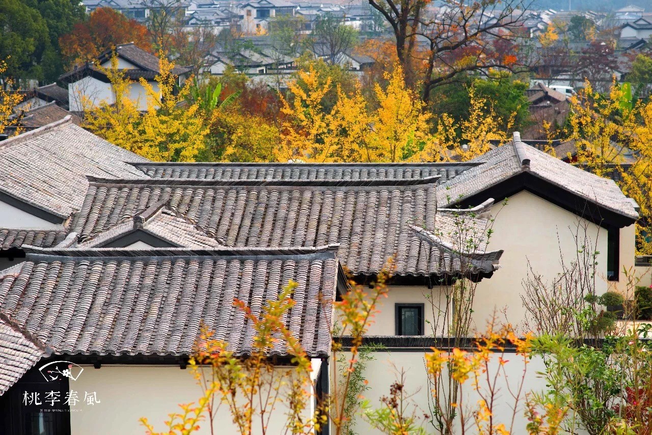 桃李春风1.jpg