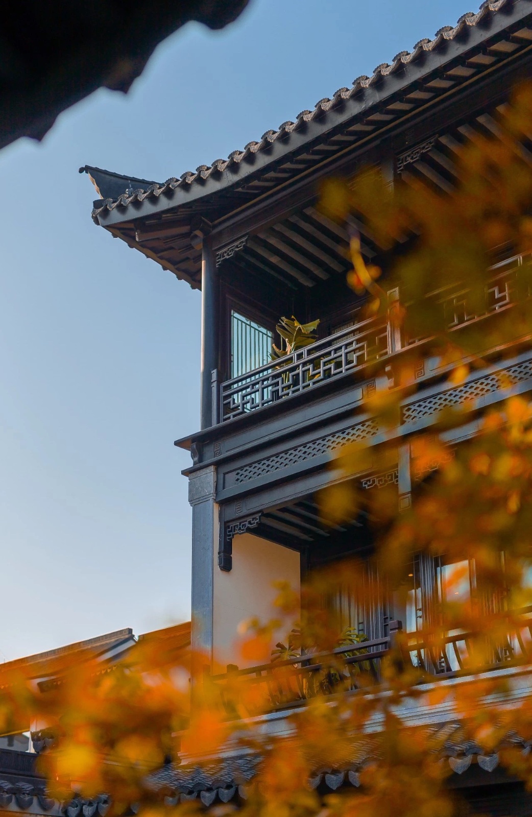 绿城 · 杭州西溪雲庐3.jpg