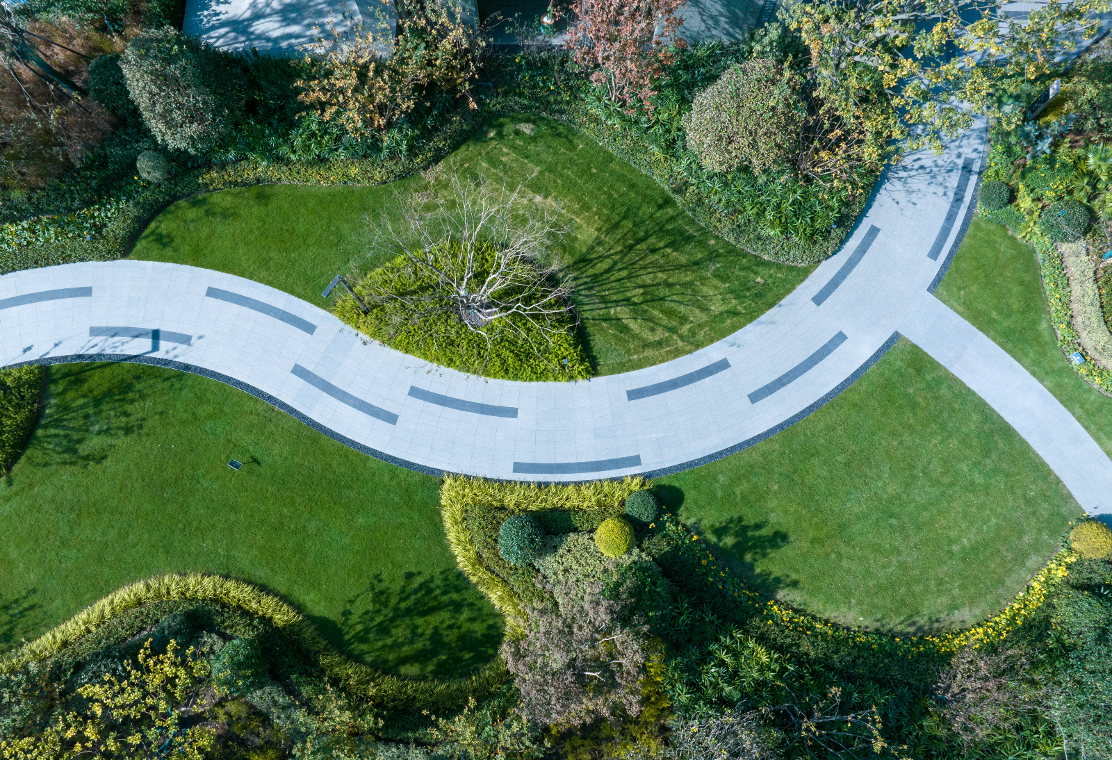 DJI_20231123084856_0033_D_001.jpg