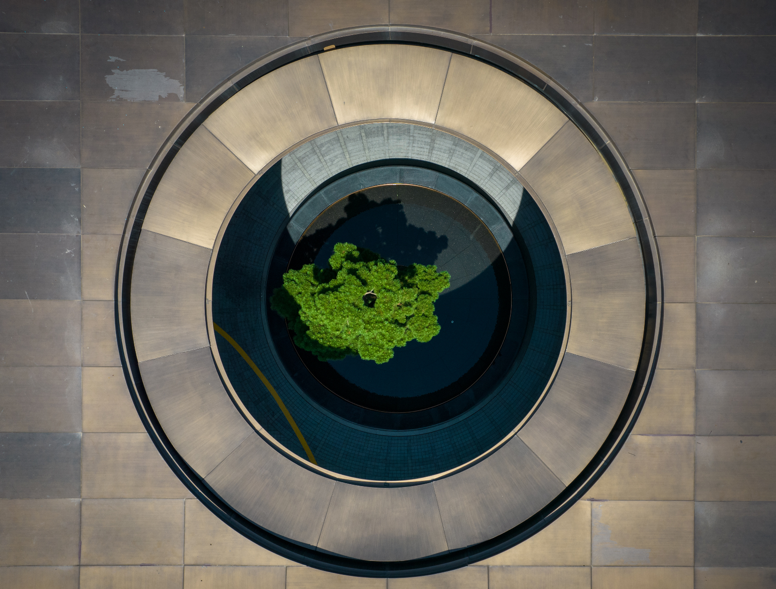 DJI_0233.jpg